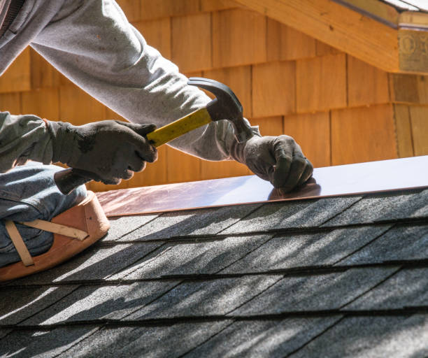 Best Roof Repair Services  in Nicollet, MN